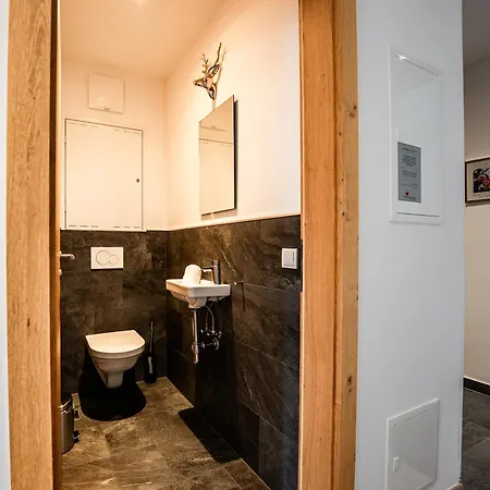 Schoenblick - Incl Summer And Mobility Card Apartment *