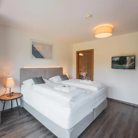 Schoenblick Residence Apartments - 600M Air Line To Areit Gondel Station * Zell am See